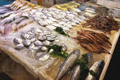 武夷山路海鮮市場 休漁期依舊琳瑯滿目，價格親民選擇多樣