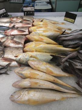 冷凍鮮魚 現(xiàn)代水產(chǎn)品消費(fèi)的新趨勢