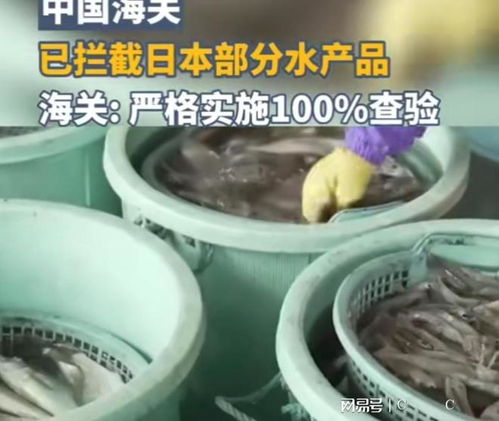 中國海關強化對日本水產品進口監管，日本媒體高度關注農產品安全議題