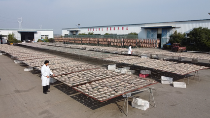 大冶 做足漁業(yè)文章，盤活水產(chǎn)經(jīng)濟(jì)，打造特色農(nóng)產(chǎn)品新名片