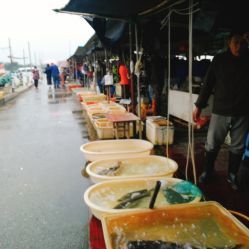 無錫小溪橋水產(chǎn)批發(fā)市場 地址、電話、營業(yè)時(shí)間與美食探尋指南