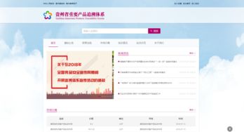 貴州電商云技術實力獲權威認定，成就信息系統集成服務新標桿